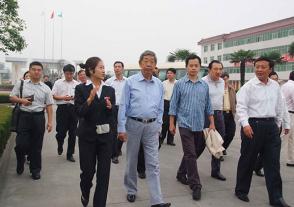 2009年10月8日，全國人大常委會(huì )原副委員長(cháng)許嘉璐視察今世緣。